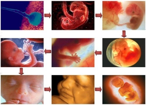 杭州哪家医院拍四维彩超写真好