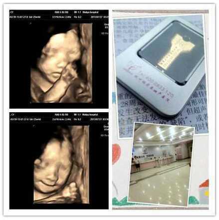 ������ά�ʳ�