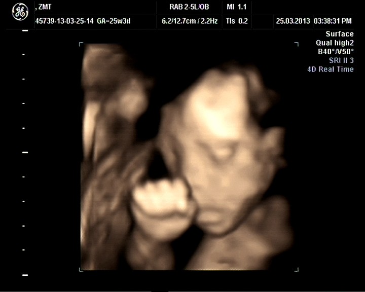 ������ά�ʳ�ԤԼ