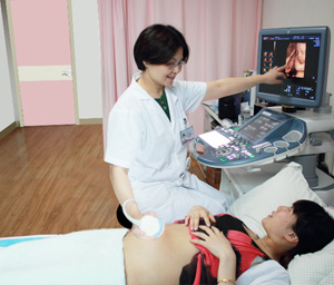 ������ά�ʳ�